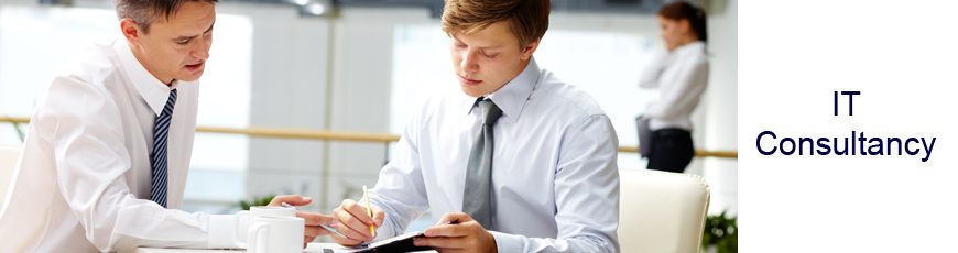 IT Consultancy 870230px